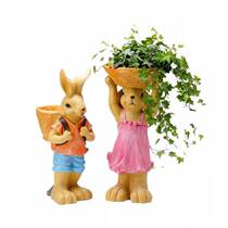 Animal decoration of meat-large multi-flesh plant pot pot pot pot pot pot