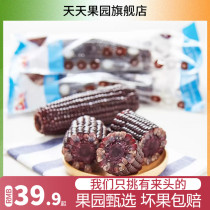 Tien Orchard Dule black glutinous rice corn 4 bags of ready-to-eat corn cob fruit corn replacement single root 200g