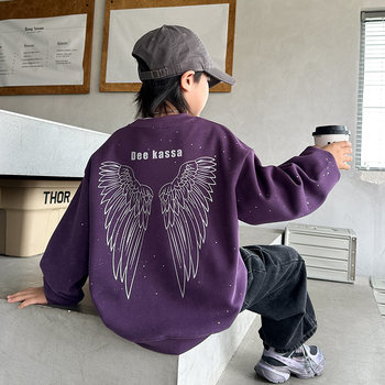 Boys' Spring Sweatshirt 2026 New Style Cool Children's Spring and Autumn Long-Sleeve Fashionable Loose Top for Older Kids