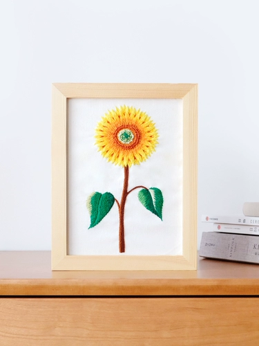 Китайский набор материалов для начинающих, «сделай сам», с вышивкой, подарок на день рождения