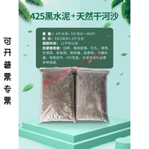 Bulk cement sand household mortar glue plugging waterproof hole repair wall flower pot quick-drying black cement sand