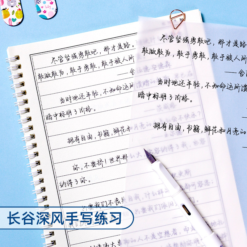 Calligraphy Practice Book for Adults, Hard Pen Calligraphy Practice Book for College Students, Beautiful Handwriting for Men and Women, Cursive Script Practice, Beginner's Quick Learning Writing Practice Book, Fountain Pen Tool