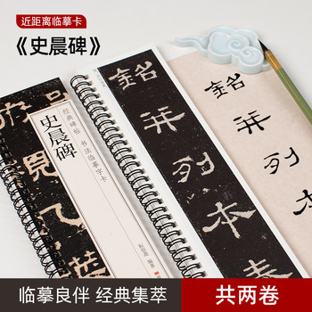 Shi Chen's Inscription Tablets, Volumes One and Two, Full Text Classic Inscription Calligraphy, Close-Up Calligraphy Word Cards, Full Text Brush Calligraphy, Calligraphy Copybook, Regular Script Brush Calligraphy, Total of 2 Volumes, for Beginners, Adults, Beginners, Full Text Clear and Legible