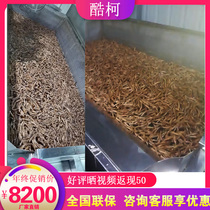Fish Dry Frying Oven High Temperature Electric Oil Fryer Fried Fish Tofu Fried Fried Chicken Claw Fried Chicken Fried Duck Fryer Commercial