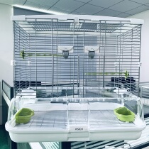 Canada Hagen new parrot cage peony tiger skin Xuanfeng Canary breeding bird cage IWK