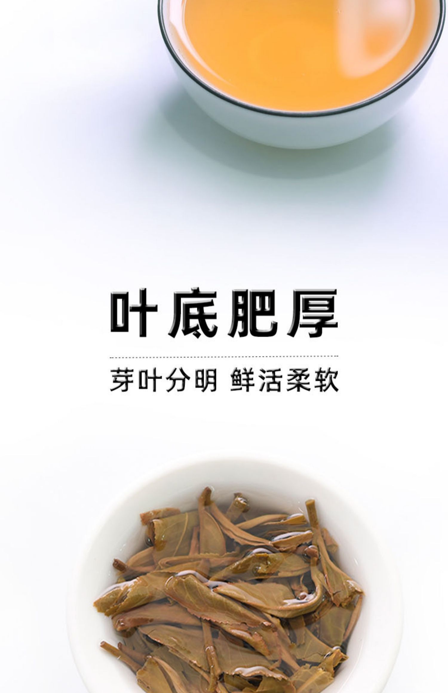 觅思博洱普洱生茶饼200g