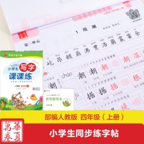 Primary school students  writing class practice Fourth grade upper and lower books writing posts editors teaching version upgraded version pen hard pen regular script writing book childrens pencil block letters copying paper Sen butterfly the same style Zhou Peina