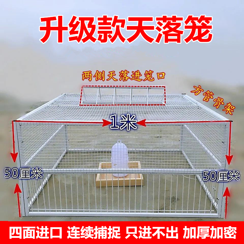 <!--捕鸽神器抓鸽子笼全自动只进不出天落笼自动跳门撞门笼鸽子用具-->