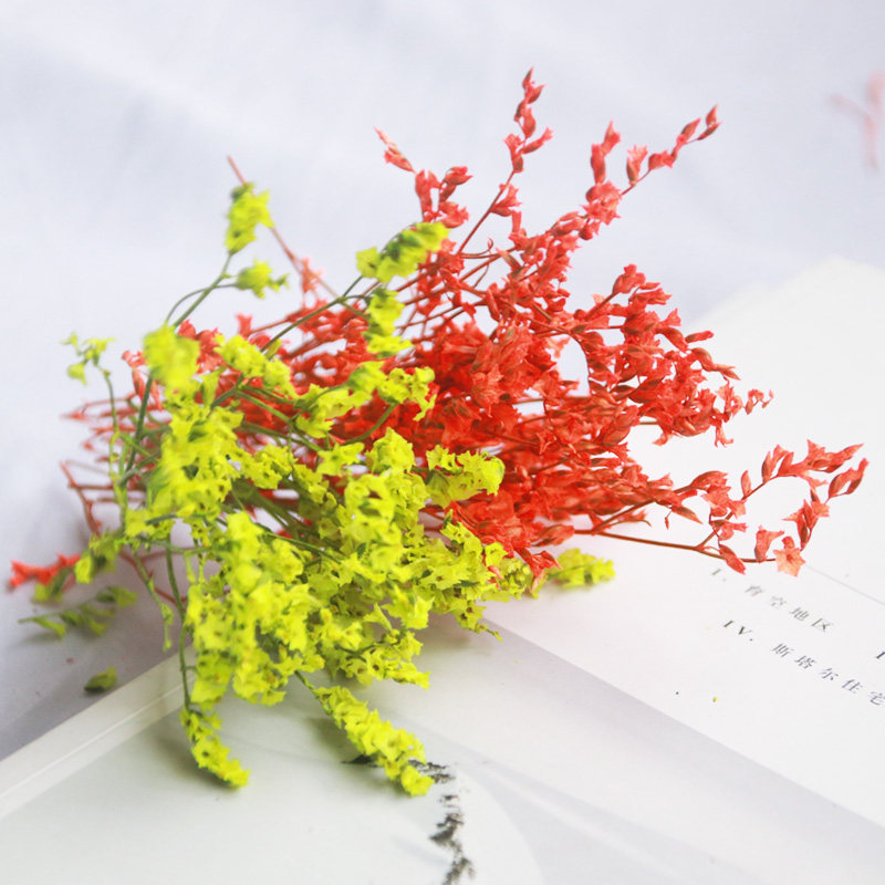 Beauty mug homemade handmade dry flower photo frame floral material natural color crystal grass dried flowers little floral diy scented candle