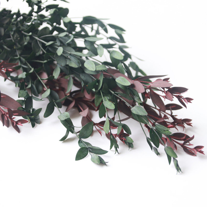 Mizhu diy manual dry flower leaves Yughali leaves diy green leaf dry flower material small flower material