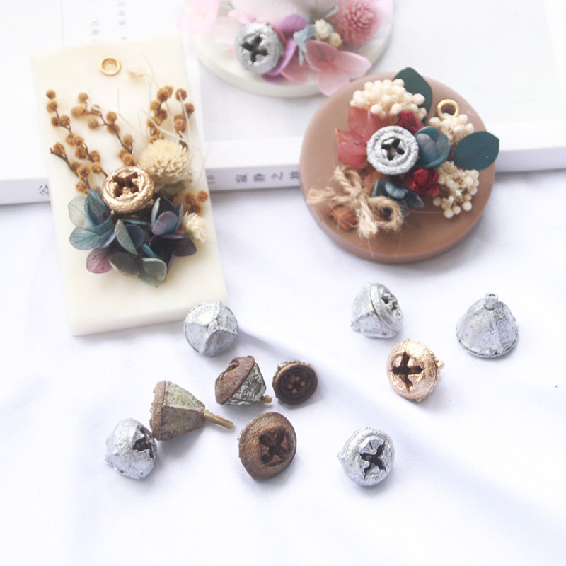 Beauty Mule Natural Plant Diy Dry Flower Fruit Decorations Cross Fruits Ugali Fruits Small Pine Nuts Metal Color Ensemble