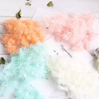 Mei Mu Er planktonic flower eternal flower wood scented candle diy hand-dried flower flower material light color Penglai Pine