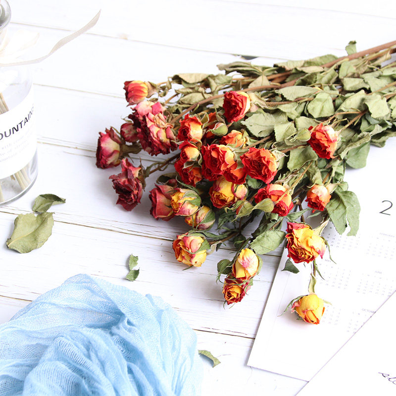 Beauty Mule Scented Candle Diy Dry Floral Material Mini Bubble Rosewood Roses Handcrafted Dry Flower Photo Frame Decoration