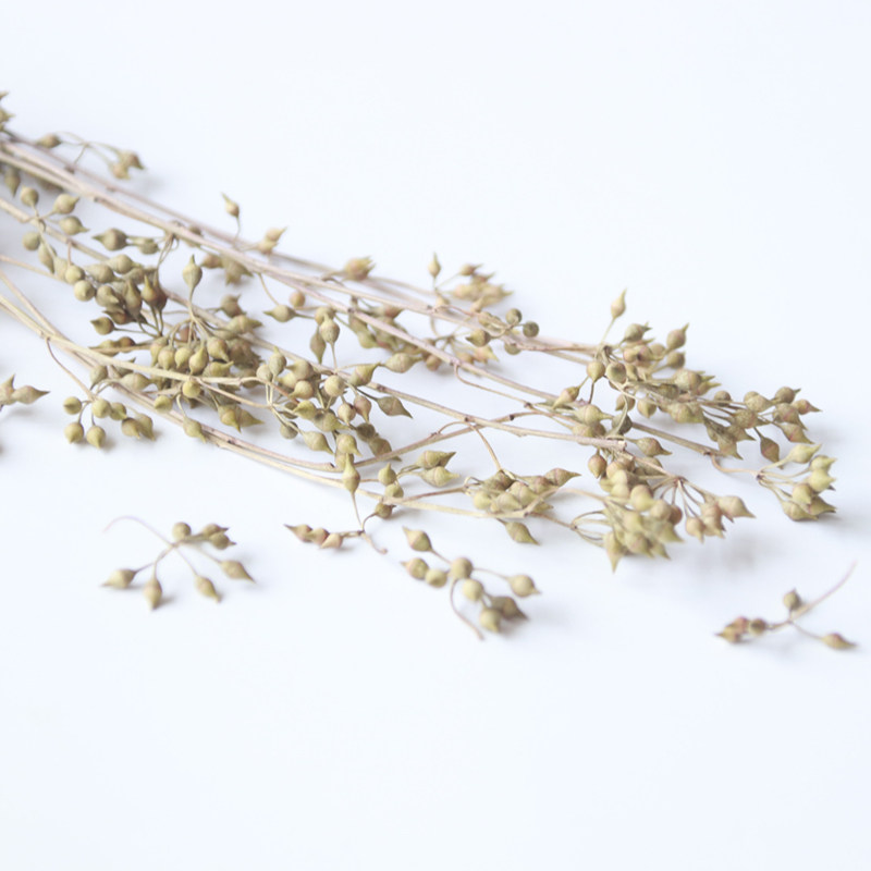 Mei Muer DIY hand-dried flower decoration accessories dragon gripper millet fruit immortal small fruit dried flower 5g