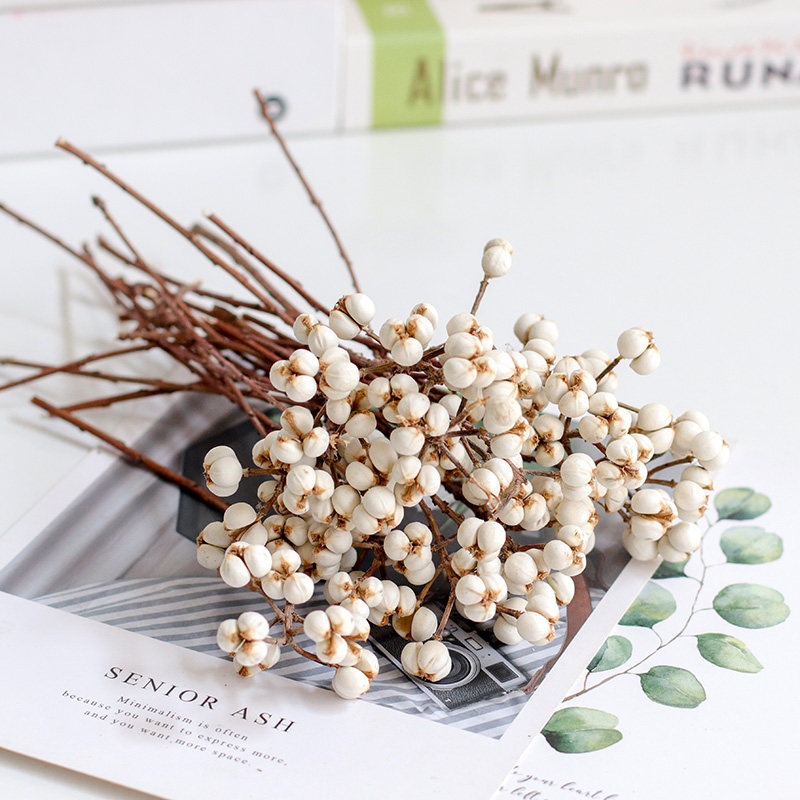 Meimuer diy dried flower photo frame decoration fruit flower diy aromatherapy candle immortal flower accessories ginkgo 5G pack