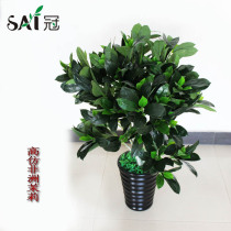New simulation tree green plant potted hotel decoration plastic fake tree 1 1 meters African jasmine bonsai
