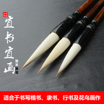 Calligraphy Red sleeve Shan Lian Lake Pen Brush set Large and medium small suitable book and painting brush Calligraphy practice for beginners Large Kai Medium regular script Line script Official Script Ou Kai Special Chinese Painting Wolf Sheep and hair brush