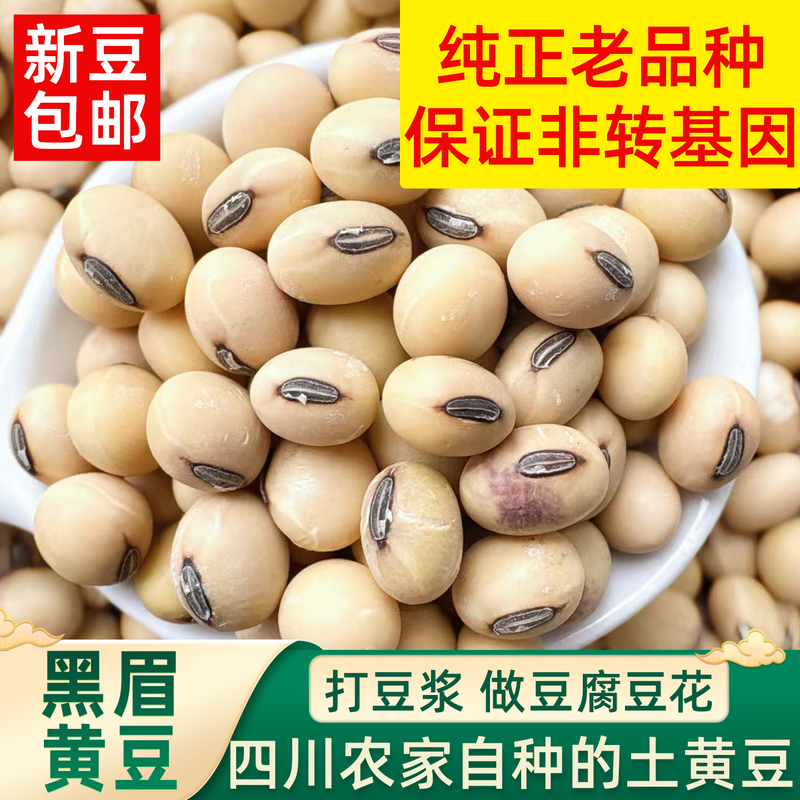 Sichuan Traditional Variety of Local Soybeans, Farm-Grown, Non-Gmo, New Beans Specifically for Making Tofu and Soy Milk Sichuan Traditional Variety of Local Soybeans, Farm-Grown, Non-Gmo, New Beans Specifically for Making Tofu and Soy Milk