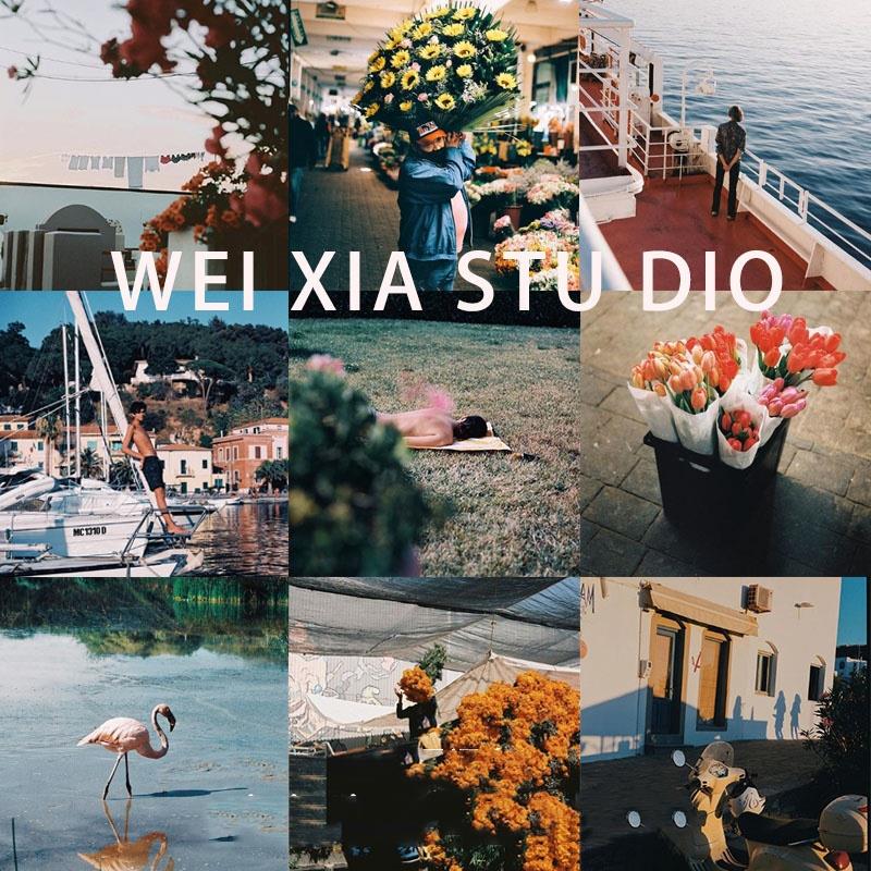 Capture One Style Film Color Aesthetics Film Tone Filter C1 Phase One Presets Collection