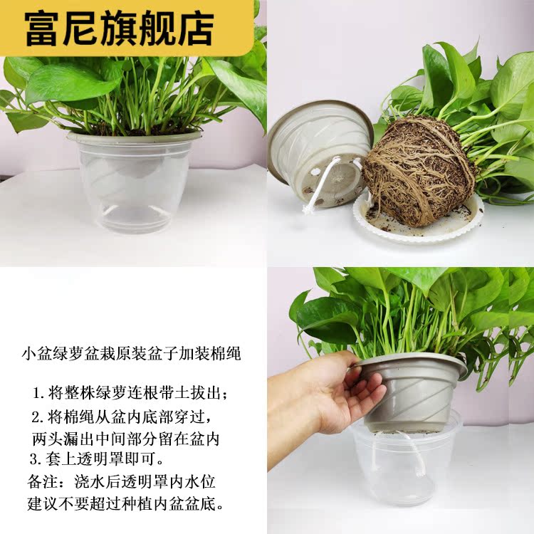 Rich, thick reservoir water flowerpot automatic base money plant hydroponic water from lazy people have transparent plastic water basin