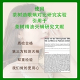 Eye Special Tea Tee Tree Essist Oil Удаление век Очистка влажного полотенца сухое веко