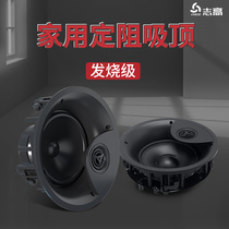 Zhigading Resistance Suction Top Sound Embedded Suit Shop Special Home Living Room Coaxial Power Amplifier Horn Ceiling Ceiling Style Restaurant Business Background Music Surround Overweight Bass Wire Speaker