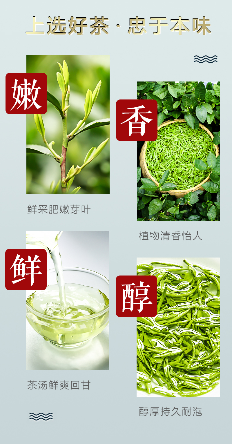 茶博山 高山云雾毛尖茶 500g 图5