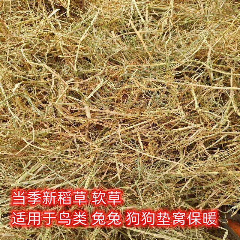 Straw and Hay Bedding for Chicken Nests, Natural Material for Bird Nests, Suitable for Hens and Small Pigeons, Warm Grass Mat for Home Use