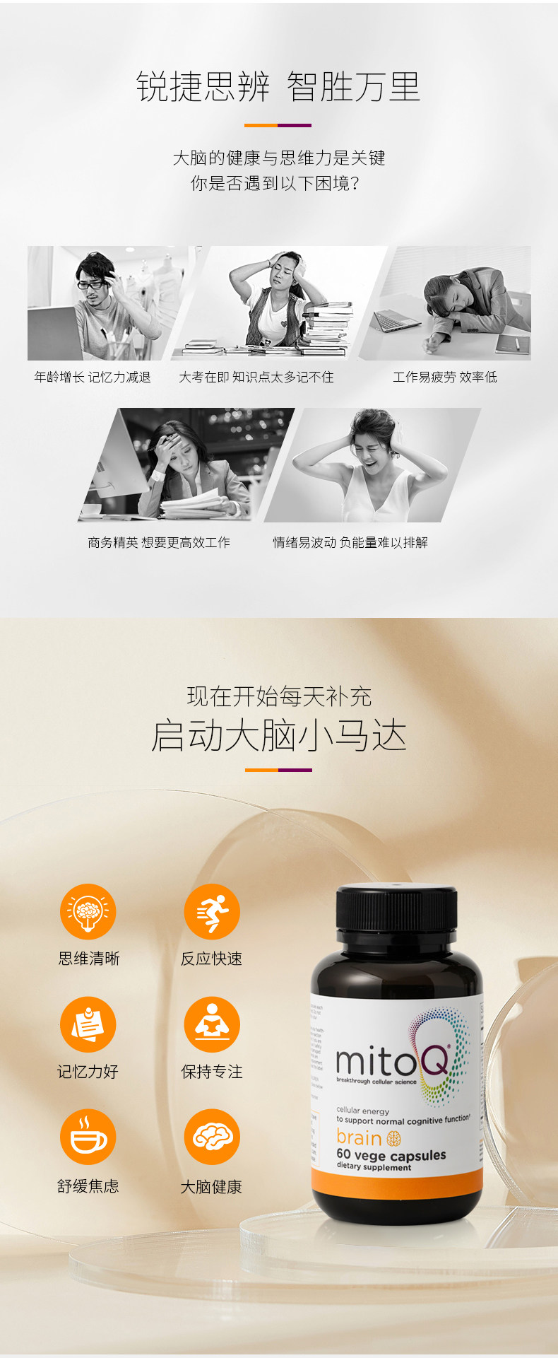 Ruizhi Details_02.jpg