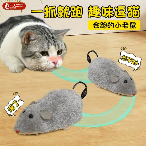 Игрушки для мышей и кошек, палочки для развлечения котят, самостимулирующие и снимающие скуку артефакты, качественные продукты для физического потребления кошек.