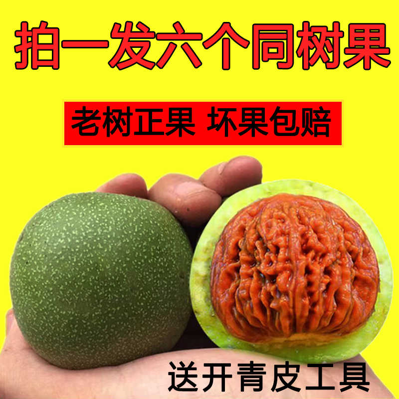 文玩核桃青皮2026年7月-月销口碑最新推荐-Taobao