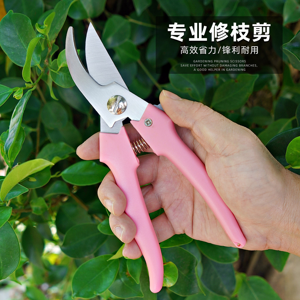 果树剪刀修枝神器,摘果剪树剪刀,花卉枝剪园林园艺家用修剪神器,你家的园艺小帮手!-园艺刀剪-淘宝好物网