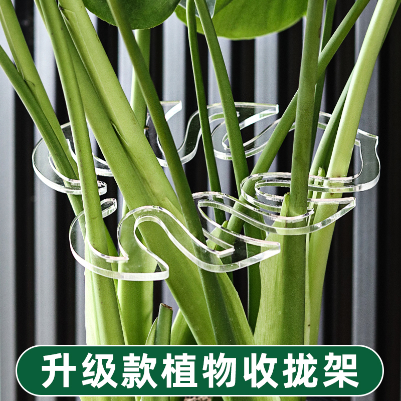 Monstera Plant Support Rod, Plant Fixing Tool, Flower Stand, Green Plant Anti-Tilting Bracket, Money Tree Flower Support Frame Monstera Plant Support Rod, Plant Fixing Tool, Flower Stand, Green Plant Anti-Tilting Bracket, Money Tree Flower Support Frame