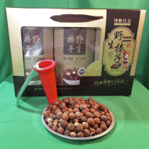 Wooden shell three barrels hazelnut first-level gift box five catties and three catties