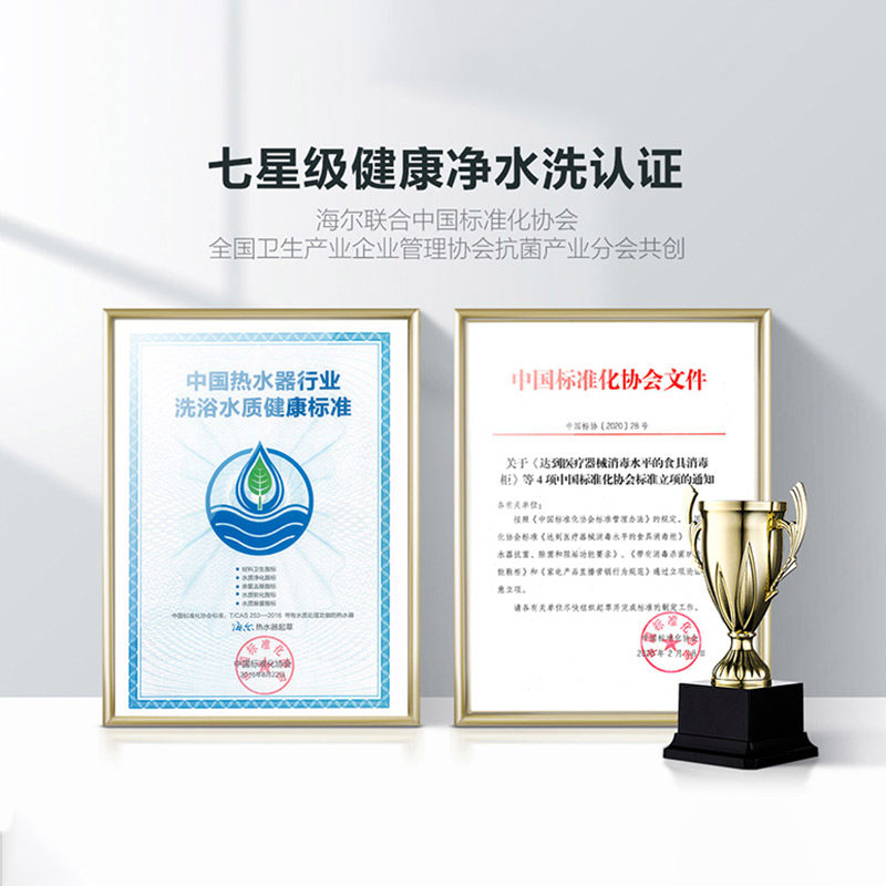 Водонагреватель электрический Haier Leader LES80H-P5 Gold