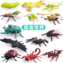 Childrens insect toys Soft plastic simulation animal model toy set Kindergarten early education cognitive puzzle teaching aids