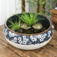 ໂຖປັດສະວະ lotus, ອ່າງນ້ໍາ lily, ຫຼຽນທອງແດງຫຍ້າ hydroponics ຫມໍ້ດອກພິເສດ, ອ່າງ lotus, Jingdezhen ceramic ຕູ້ປາວິທີການວັດຖຸບູຮານ