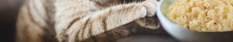 Inabao Cat Bars Miaohao Fresh Meat Bun 15g * 60 túi, thức ăn ướt đóng hộp cho mèo con, mèo đóng hộp, đồ ăn nhẹ đóng hộp mềm cho mèo - Đồ ăn nhẹ cho mèo