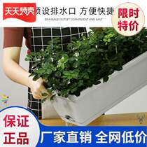 Rectangular succulent flower pot outdoor planting flower box tray planting vegetable pot square Nordic strip Nordic style