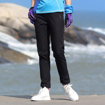Outdoor Speed Dry Pants Women Spring and Autumn Elastic Suction sweat breathable abrasion resistant Fast dry pants hiking Hiking Pants Summer Thin