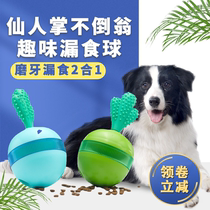 Dog toy tumbler cactus leaking food ball pet puzzle tooth cleaning snack leaking feeder cat hidden food feeding