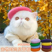 Pet beret cat special hat headwear winter New Year festive cute cat headgear Garfield puppet