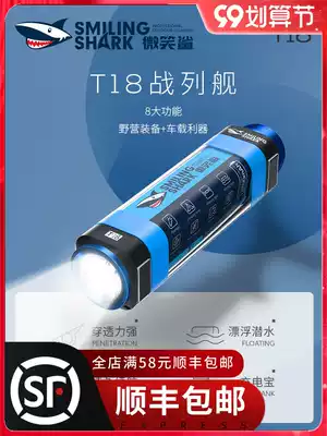 Camping light LED charging outdoor long battery life super bright lighting emergency portable hanging outdoor light tent light