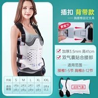 Импортирован тот же тип поясничного позвоночника.