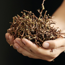 (Tea fragrance machine matching) roaster 2021 fresh tea stem bulk Wormwood 500g incense to taste decoration formaldehyde