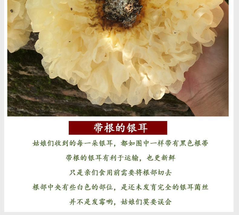 闽妃 古田新鲜银耳 6朵盒装 图14
