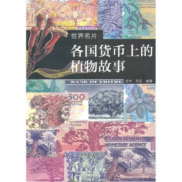 正版图书丨 世界名片 谷丰,天乐编著 9787503938580