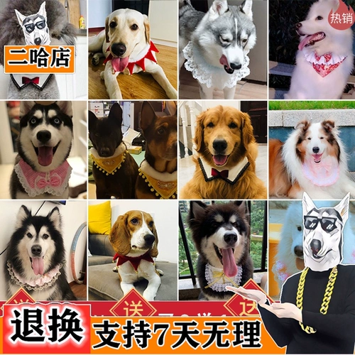 Средне -сильное собачье домашнее животное рта водоладка сатцума золотой мао ​​-лабрадор собака шарф треугольник треугольник декоративный забор