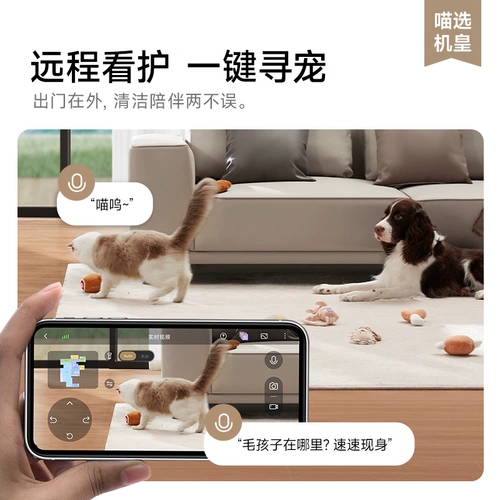 [Две -высокая субсидия 20%], преследуя версию PET x30PRO PET, общепринятого робота, чистка и перетаскивание, полностью автоматическая