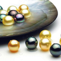 Famous Yuan Jewelry Nanyang Sea Water Pearl Big Creek Black Pearl Aussie White Festival Special live conversion price special
